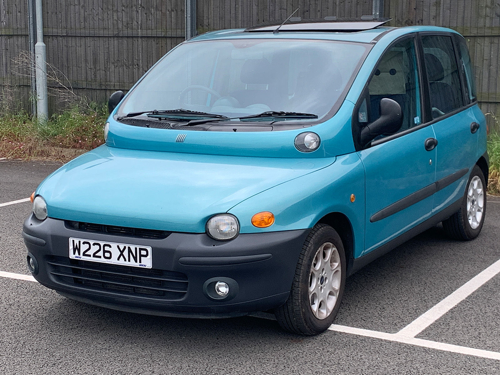 Multipla1