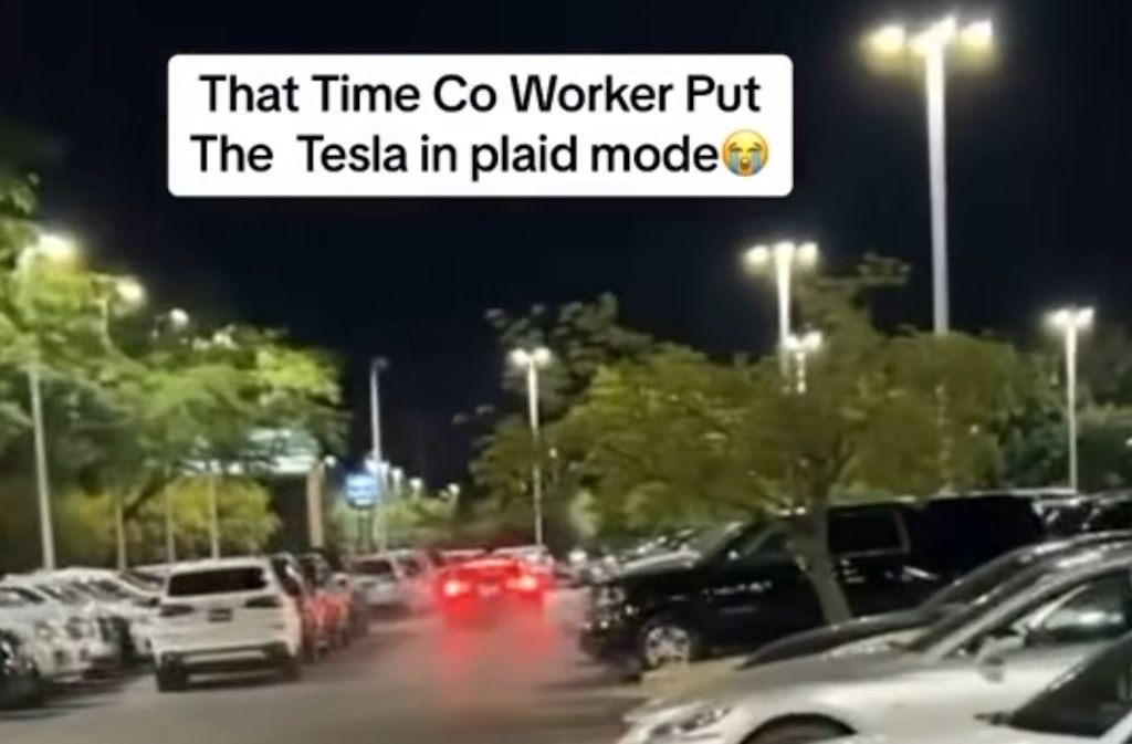 Tesla Model S Plaid Crash Landscaping